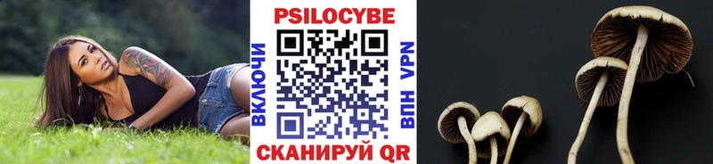 Галлюциногенные грибы GOLDEN TEACHER  Аша 