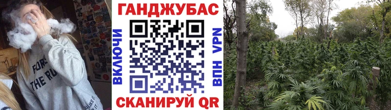 дарнет шоп  Аша  Шишки марихуана план 